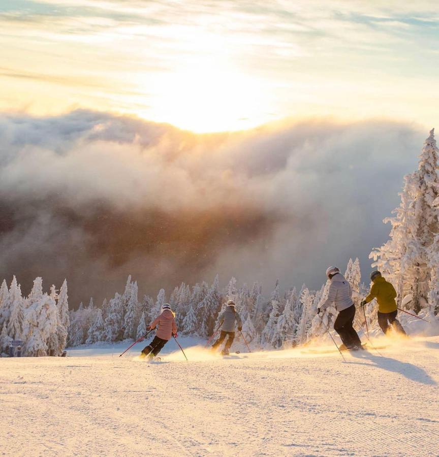 Amazing Lakemountain View 5Min To Tremblant439 Mont-Tremblant Exterior photo